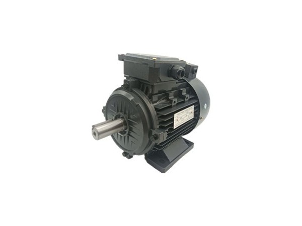 三相力矩電動機廠家產(chǎn)品圖片