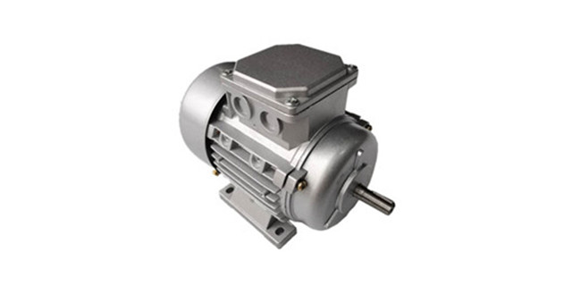 森力電機(jī)-三相異步電動(dòng)機(jī)