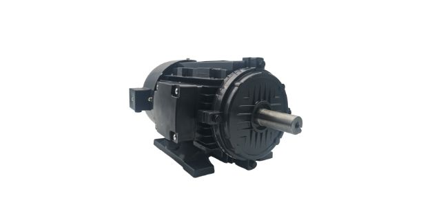 力矩電動(dòng)機(jī)廠家產(chǎn)品圖片