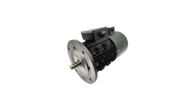 三相異步電動(dòng)機(jī)廠家電機(jī)產(chǎn)品