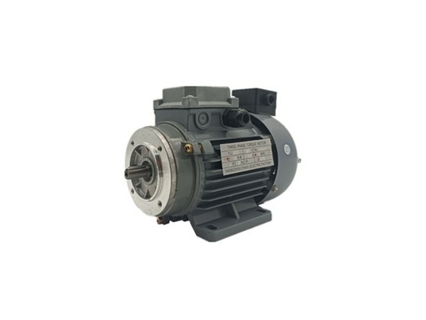 力矩電機(jī)廠家產(chǎn)品圖片